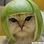 Profile Picture of Meredith Potter (@meredithpotter21) on Flickr