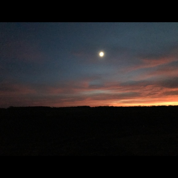 Profile Picture of Matt Ashland (@mattashland) on Poshmark