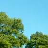 Profile Picture of MILSTEAD (@user5420126841780) on Tiktok
