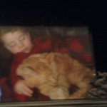 Profile Picture of Michael Depero (@mdbasketball_____) on Instagram