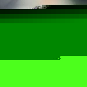 Profile Picture of Currie Joseph (@gregg0004) on Myspace