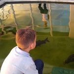 Profile Picture of Carlos.levi__ (@carlos_levi_ap) on Instagram