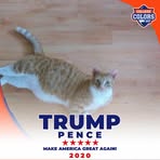 Profile Picture of Nathaniel Whitaker (@nathaniel.whitaker.17) on Facebook