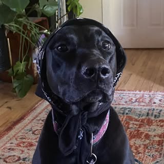 Profile Picture of Alex (@alexander.smith) on Instagram