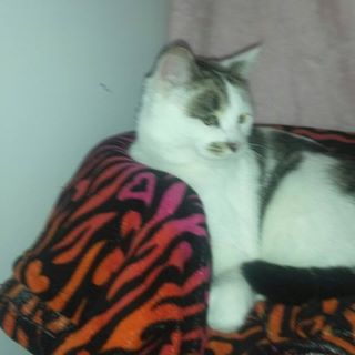 Vicki Kipper - Facebook Profile Picture of Vicki Kipper (@vicki.kipper.52) on Facebook