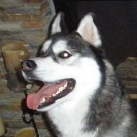 Profile Picture of Neil Connell (@NeilConnell3) on Twitter