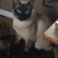 Profile Picture of Joseph M Geiger (@geiger1_m) on Twitter