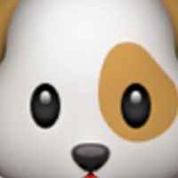 Profile Picture of Isaac-llewellyn Davies (@isaac-llewellyn-davies) on Quora