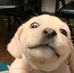Profile Picture of Ŕøń Bīģ Bīģ (@Ŕøń-Bīģ-Bīģ) on Facebook