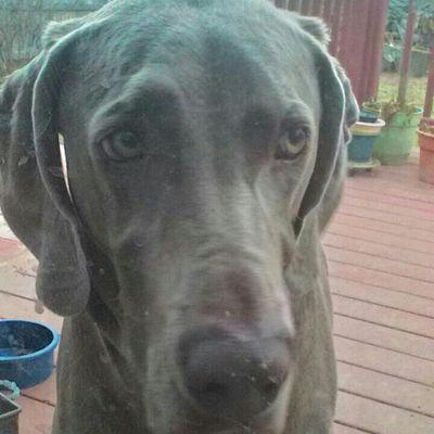 Profile Picture of Bailey Wong (@btw03) on Twitter