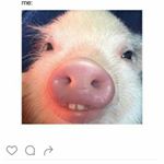 Profile Picture of haileymohr (@haileyatgmail) on Instagram