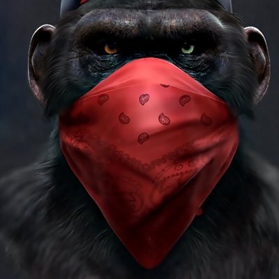 Profile Picture of Elvis Andres Valentin Garcia (@elvis_val1) on Twitter