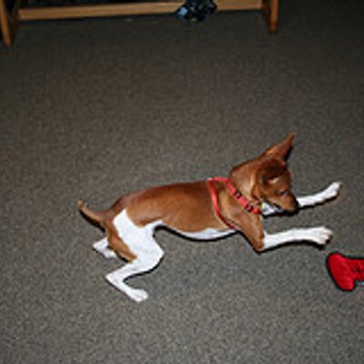 Profile Picture of Scott Strittmatter (@sstrittmatter) on Twitter