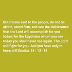 Profile Picture of Bernice Mante (@Bernice-Mante) on Facebook