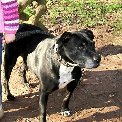 Profile Picture of Geoff Betts (@valdez1183) on Twitter