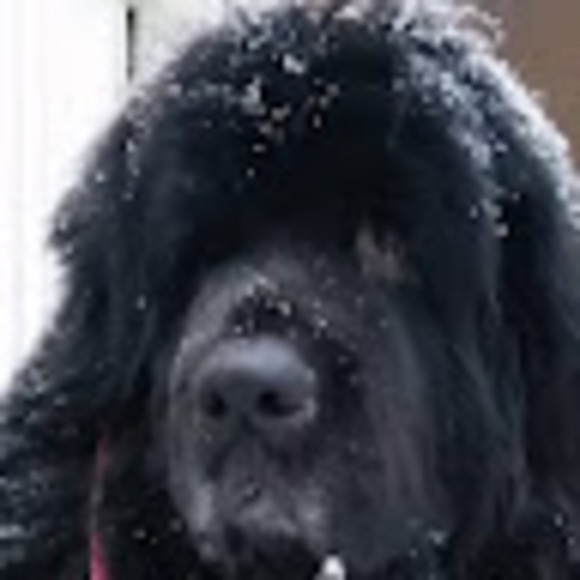 Profile Picture of Pam Roberts (@pamroberts965) on Poshmark