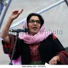 Profile Picture of Rahela H. Sidiqi (@RahelaHSidiqi) on Twitter