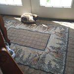 Profile Picture of Conrad Cox (@conrad.cox) on Instagram