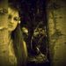 Profile Picture of Tanya McBee (@fungeist) on Pinterest