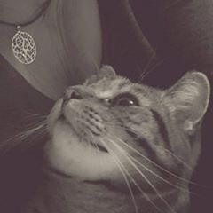 Profile Picture of Heidi Schneider (@@heidischneiderxxx) on Tiktok