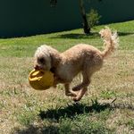 Profile Picture of Mark Reedy (@craftbeerslayer) on Instagram