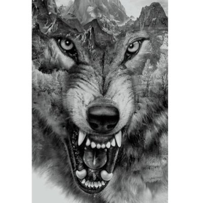 Profile Picture of Keith A Coco (@KeithACoco2) on Twitter