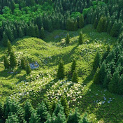 Profile Picture of Forrest Craft (@forrestcraft8617) on Youtube