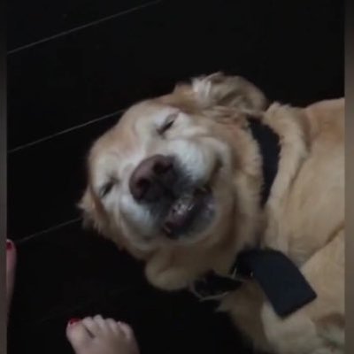 Profile Picture of Margaret Key (@Margare60785579) on Twitter