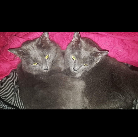 Profile Picture of Lori Garbus (@resqme70) on Poshmark