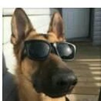 Profile Picture of Bharadajava Atri Jogesh Charaka Bhakta Krishnamurti Suraj Hendrickson (@bharadajava-atri-jogesh-charaka-bhakta-krishnamurti-suraj-hendrickson) on Quora