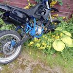 Profile Picture of Jone Honkala (@jonehonk) on Instagram