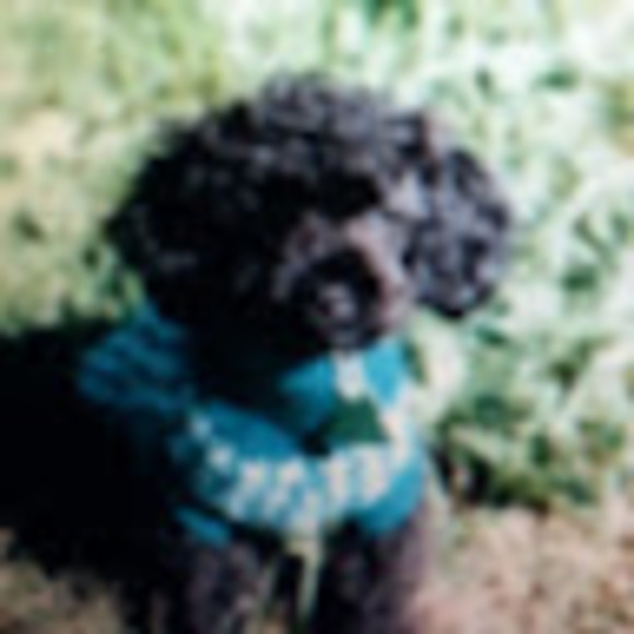 Profile Picture of Deborah Robinshaw (@drobinshaw24) on Poshmark