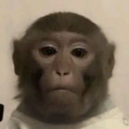 Profile Picture of michaeldebreczeni (@michaeldebreczeni) on Tiktok