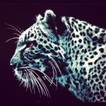 Profile Picture of Tal Levy (@tallevy31) on Instagram