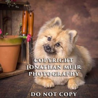 Profile Picture of Janet Kerr (@JanetKe14508388) on Twitter