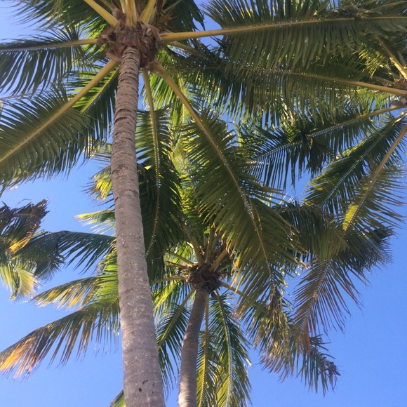 Profile Picture of Robert Murray (@rmurray87) on Poshmark