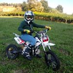 Profile Picture of David Di Mascio (@daviddimascio) on Instagram