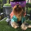 Profile Picture of joycezshippc (@@joycezshippc) on Tiktok