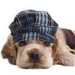 Profile Picture of Alberto Coppola (@alberto.coppola.94) on Instagram