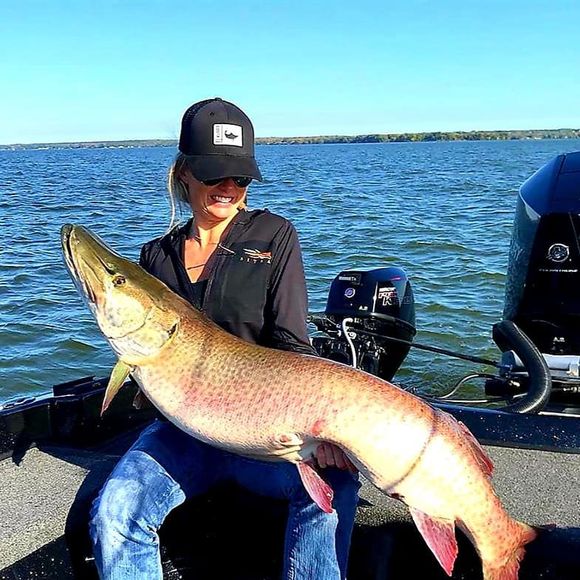 Profile Picture of Nikki Higgins (@higginsnik) on Poshmark