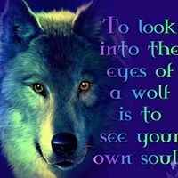 Profile Picture of Sara Hoy (@sara-hoy-3) on Quora