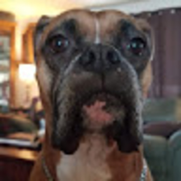 Sasha Fisicaro - Poshmark Profile Picture of Sasha Fisicaro (@sashafis44) on Poshmark