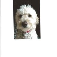 Profile Picture of Walter Frazee (@walterfrazee) on Pinterest