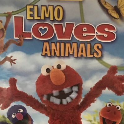 Profile Picture of Gary Busey Brazil  🇹🇩 (@edgy_teen_69_) on Twitter