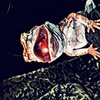 Profile Picture of Damien Ramirez (@@zombied333) on Tiktok