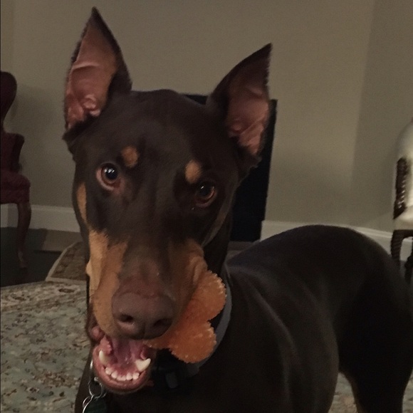 Profile Picture of Shiryl Bryan (@calibur2) on Poshmark