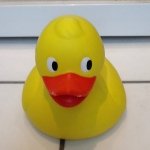 Profile Picture of Christopher (@christopher_horn) on Instagram