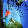 Profile Picture of stacey paramore (@s.paramorepca) on Flickr