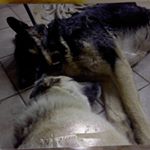 Profile Picture of Sheila Kaye (@kaye_sheila) on Instagram