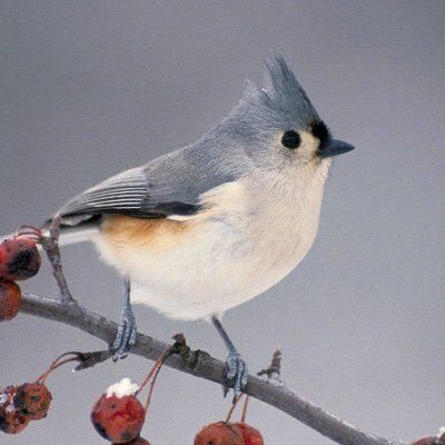 Profile Picture of jasonpoulsen543 (@jasonpoulsen543) on Tiktok